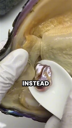 How Pearls Are Created