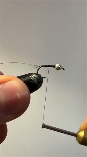 Fly Tying Zebra Midge 1/2 #fishing #chileflyfishing #fly #fup #fishinglife #fishingtips #flytying