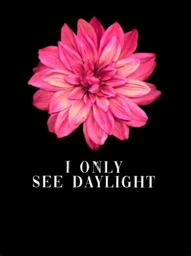 Understanding the Lyrics of 'Daylight' by Taylor Swift