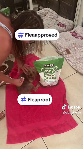 How to Apply Food Grade Flea Powder on Dogs