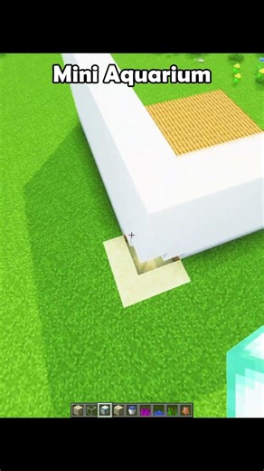 Minecraft Mini Aquarium😍 #minecraft #shorts