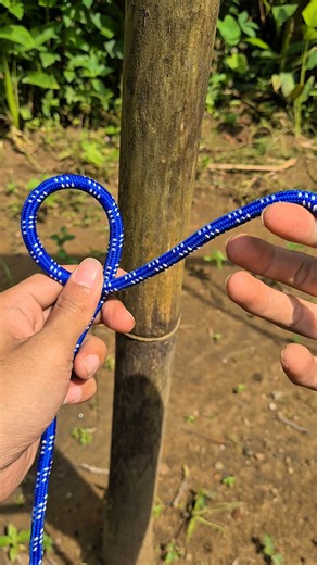 Constrictor Knot❗️#knots #knottying #howtoknot #ropework #usefulknots #diytutorial #shorts
