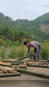 Single mother completes bedroom and storage space: Life of Ly Tieu Ca #lytieucaslife #singlemother #lytieuca #lythica #singlemom | Monkey SoK Ya