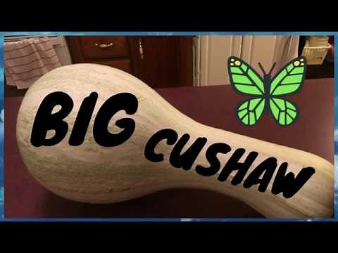 how to cook Cushaw