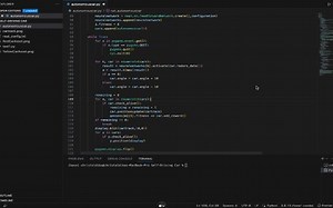 Python+PyGame+NEAT自动驾驶汽车模拟项目开发视频教程