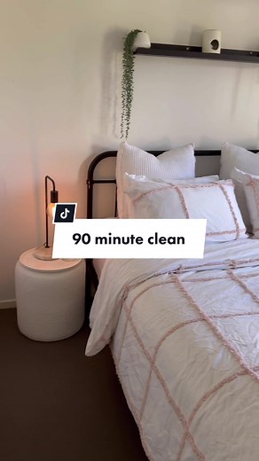 90 Minute Clean Challenge: How much can you do in 90 minutes?
