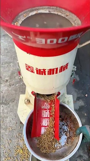 How It’s Made DIY Animal Feed Pellets! 🌽