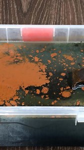 17K views · 262 reactions | 100 YEARS OLD CLEAVER RESTORATION - MIRROR FINISHING #restoration #antique #asmr #diy #metal #tools #oldthings #vintage | Beta Restoration | Facebook