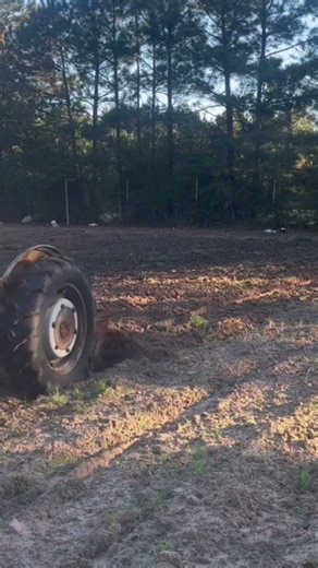 1947 2n ford plowing#gardening#fordtractor