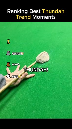 Ranking best Thundah Trend Moments😭 #ranking #best #thunder #trend #moments #funny #animals #viral