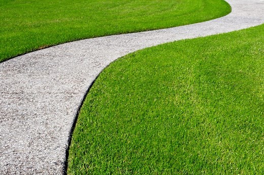 Zoysia Grass Care (The Ultimate Guide For Zoysiagrass) - Lawn Phix