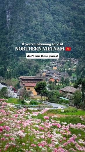 📩 DM me for a personalized Vietnam itinerary & insider tips! 🇻🇳 Planning a Vietnam trip? Here’s where you need to go: 📍 Hanoi: Old Quarter charm, Train Street, egg coffee & rich Vietnamese history. 📍 Sapa: Cool mountain air, sweeping rice terraces, trekking trails & local hill-tribe culture. 📍 Ha Giang: Dramatic mountain passes, winding roads, pink buckwheat flowers & breathtaking views. 📍 Ninh Binh: Calm river boat rides, emerald rice fields, limestone karsts & peaceful cave landscapes. 
