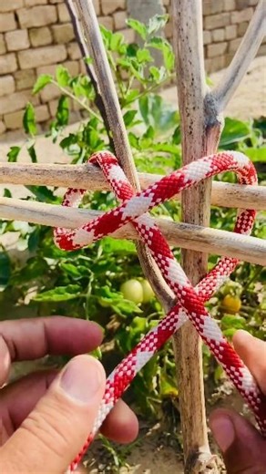 Most Reliable & useful knot forever #knottutorial #knotwork #ropework