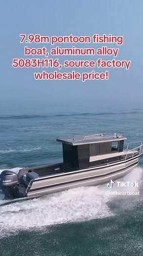 7.98m Aluminum Pontoon Fishing Boat for Sale