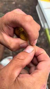 Advanced Fishing Techniques Take Your Angling Skills to the Next Level