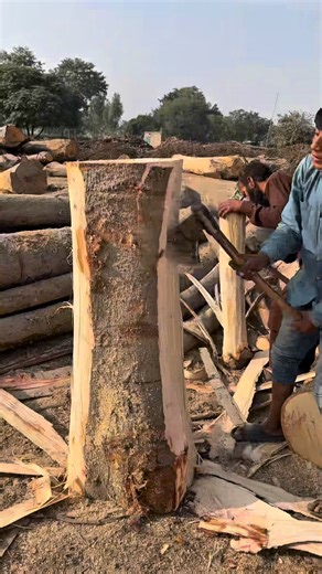 Master the Chainsaw: Wood Cutting Techniques Explained #fblifestylechallenge #trendingreels #woodwork #woodworking #Nov #reality #factorylife #reels #asmr | Maker Zone