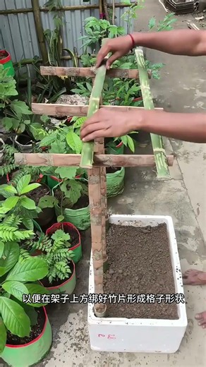教你用泡沫箱和竹片打造陽臺種植箱，這方法真是太實用了 #種菜小技巧 #學種菜 #生活小妙招 #創意手