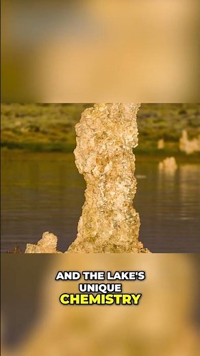 California's Alien Lake?! Explore Mono Lake's Wonders
