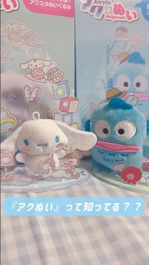 ぬい活にぴったり✨アクぬい サンリオキャラクターズ♡｜セガ フェイブ #サンリオキャラクターズ #シナモロール #ハンギョドン