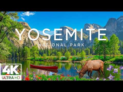 Yosemite National Park 4K | Towering Granite Cliffs, Giant Sequoias and Valley Views