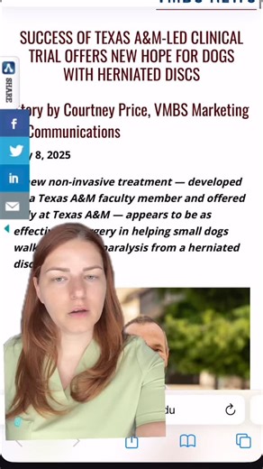 6.3K views · 680 reactions | Exciting non surgical IVDD treatment...