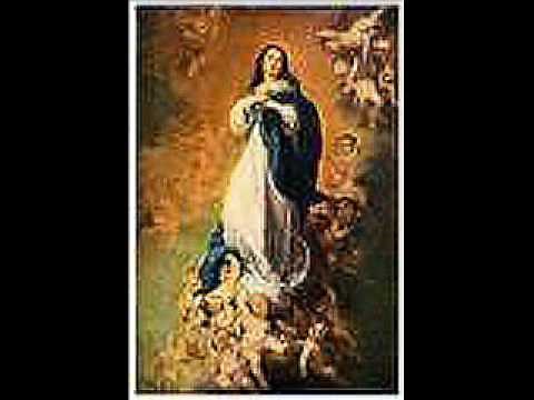 Mary Immaculate Star of the Morning Video