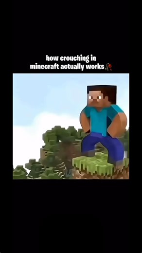 How crouching in Minecraft actually works 😭