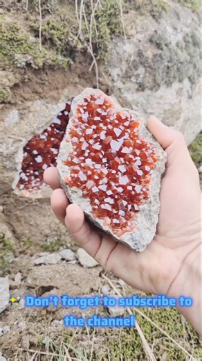 🔥 “This Rare Red Agate Looks Like Fire Trapped in Stone!”