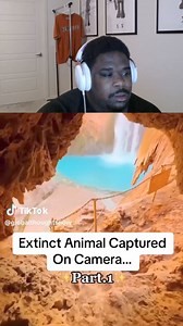 160K views · 2.3K reactions | Extinct Animals Caught On Camera! | Kam Noony | Facebook