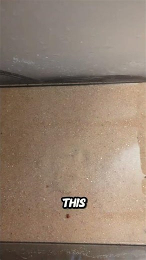 New tank setup #fish tank #fish# fun #build