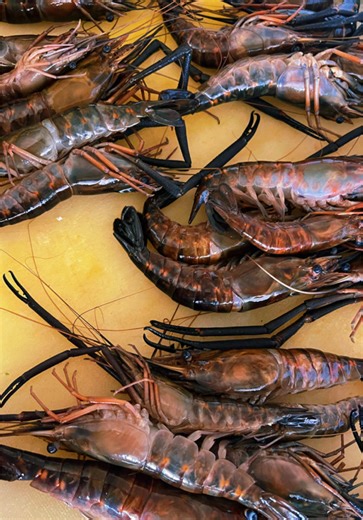 The Boiling Point-Fiji for all your seafood cravings. #fy #theboilingpointfiji #fijitiktok🇫🇯 #679🇫🇯 #fyppppppppppppppppppppppp