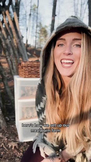 How to Set Up a Mealworm Farm: Beginner's Guide