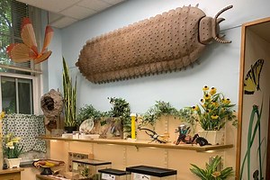 Take a virtual tour of the MSU Bug House