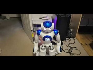 Nao Robot - answering questions