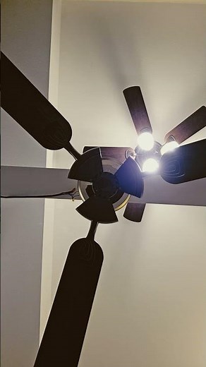 harborbreeze exetr ceiling fan blades with fanimation spit fire motor