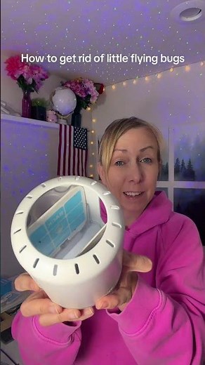 How to get rid of little flying bugs - featuring the Safer Home rechargeable cordless fly trap