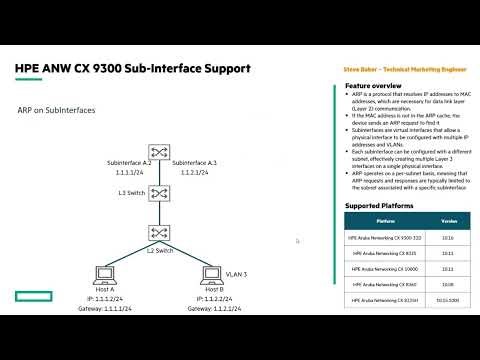 AOS-CX 10.16 Release Update: CX 9300 Sub-interface support