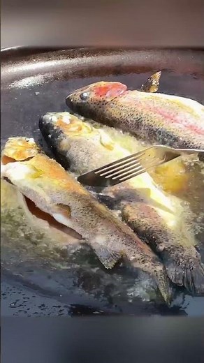 Flame-Grilled Seafood Delight: Cooking and Grilling Fish