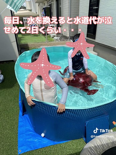 プールの水は毎回取り換える？ #折り畳みプール #プールのフタ #どうしてる #子供のいる暮らし