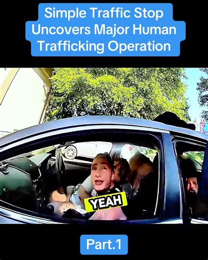 184K views · 2.6K reactions | Simple Traffic Stop Uncovers Major Human Trafficking Operation – Full Video in the First Comment! | Cops Audit | Facebook