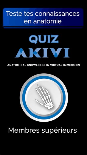 Anatomie AKIVI on Instagram: "QCM MEMBRES SUPÉRIEURS - Les membres supérieurs assurent les fonctions de préhension et de manipulation. Ils comprennent le bras, l’avant-bras et la main. Le squelette est formé par l’humérus, le radius et l’ulna. La main comporte le carpe, le métacarpe et les phalanges. Les articulations principales sont l’épaule, le coude et le poignet. Les muscles permettent la mobilité fine et la force. L’innervation est assurée par le plexus brachial. Pour découvrir d'autres QC