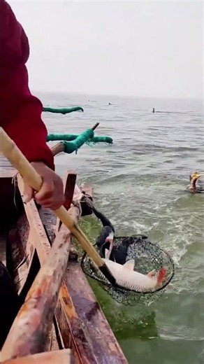 Bird is escaping when it grab a fish.#fishingtrip