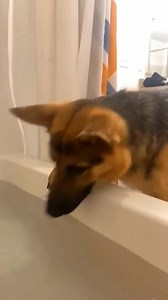 150K views · 4.4K reactions | Funny way to pass a day  | Lana Alexia | Facebook