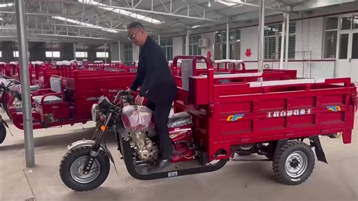 Chinese 3-Wheel Motorcycle 200cc-300cc Motorized Cargo Tricycle with Open Body