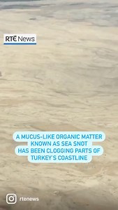 51K views · 75 reactions | A mucus-like organic matter known as 'sea snot' has been clogging up parts of Turkey’s coastline since late December last year. | Read more: https://bit.ly/34ACe5v | RTÉ News | Facebook