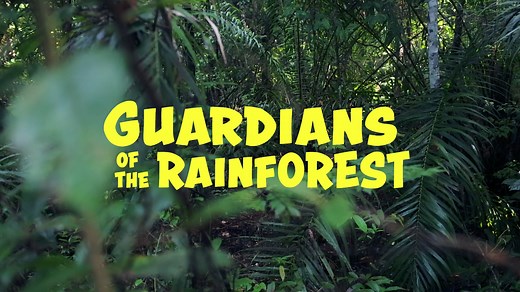 Guardians of the Rainforest