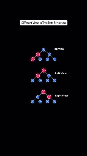 Views In Tree Data Structure | Top View | Left View | Right View #dsa #visualization #shorts #coding