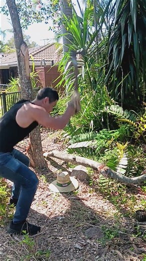 Experimental Exercise: Axe chopping 🪓.