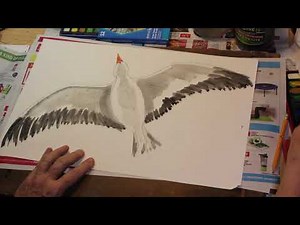 How to draw a Seagull the Easy Way