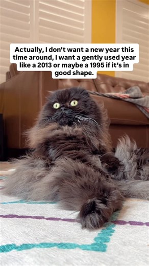 Seamus TCat on Instagram: "Or maybe a littlest something from the mid 80s. #catsofinsta #catsofig #catlife #katze #neko #scottishfoldlovers #chat #kot #gatosfofos #scottishfold #scottishfoldcats #gatos #scottishfolds #scottishfoldcat #cats #scottishfoldsofinstagram #catlover #gato #catsofinstagram #catstagram #cat #cats_of_instagram #instacats #pets #gatosdeinstagram #catlovers #meow #petsofinstagram #petstagram #adoptdontshop"